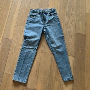 Everlane Cheeky Jean (Crop)